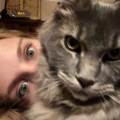 dog/catsitter-947117-1
