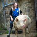 Les-animaux-fantastiques-1117113-3