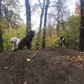 https://fr.holidog.com/ImagesPetSitters/BE50F3F1-0E9E-4BB9-BAC5-F4AA25033CC7_square_120.jpg Balades-canines-et-éducation--563195-2