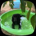 Garde-familiale-et-bienveillante-1185249-3