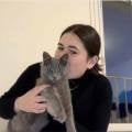Garde-de-chats-et-chiens-1172768-0