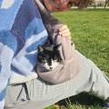 Chouchoute-vos-amis-!--1167355-1