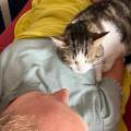 https://fr.holidog.com/ImagesPetSitters/C3DE1D94-12BC-49D2-AF76-F70ABFAF76D2_square_120.jpg Amoureuse-des-animaux-1048437-0