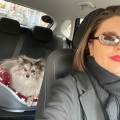 Grande-amoureuse-des-animaux-1161670-2