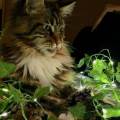 Partez-tranquille-!-1178561-2
