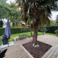 Le-paradis-des-chiens-1117451-2