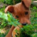 Toujours-partante-pour-une-balade-812385-0