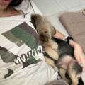 Couple-Sitter-1114722-1