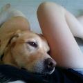 L'amoureuse-des-animaux--63478-2