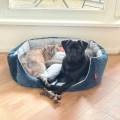 Pet-sitter-passionnée-🐶🐱-1155415-3
