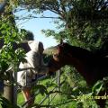 Petsitter-au-top-156838-3