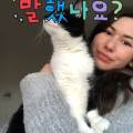 Petsitter-pour-vos-petits-protégés-1060847-2