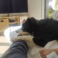 Léa-&-Giulia-:-pet-sitter-sérieuses-1142384-1
