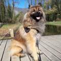 Gardes-Centre-ville---bord-Loire-🐶-516757-3