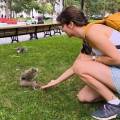 Amoureuse-des-animaux-1152838-3