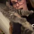 dog/catsitter-947117-3