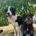 Garde-familiale-et-bienveillante-1185249-2