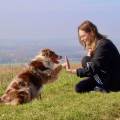 https://fr.holidog.com/ImagesPetSitters/E17FEB57-4F0F-440C-8C39-41E1B309E844_square_120.jpg Le-bien-être-animal-avant-tout-1086279-1