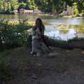 https://fr.holidog.com/ImagesPetSitters/E21264B3-F35C-4C88-8CE1-44245EE045E2_square_120.jpg -Pet-Sitter-de-Confiance--527579-0