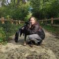 -PetSitter-expérimentée-à-Beauchamp-1100699-0