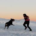 https://fr.holidog.com/ImagesPetSitters/E3E144B8-5D04-43C9-AB9D-9BE28DA082D7_square_120.jpg Présentation-20998-0