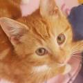 Douce,-fiable-et-100%-positive-1094287-2
