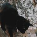 https://fr.holidog.com/ImagesPetSitters/EB3AE991-DDB3-4171-B507-4A7979B5F291_square_120.jpg L'amour-des-animaux-1110659-1