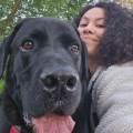 https://fr.holidog.com/ImagesPetSitters/EB6B4830-437B-4EB0-BB80-0AA2844A9B69_square_120.jpg Dog-Sitter-🐾-1061624-2