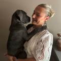 https://fr.holidog.com/ImagesPetSitters/ECBE98A3-9E5D-4026-9BD4-FFF168C3E093_square_120.jpg Amoureuse-des-animaux--1052262-0
