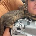 Petsitter-sérieuse-et-attentionée-1137570-2