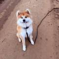 https://fr.holidog.com/ImagesPetSitters/EDB1E3DC-D3C9-45A7-9718-A18B69A712B7_square_120.jpg HomePet-Services-91033-3