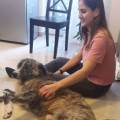 https://fr.holidog.com/ImagesPetSitters/EEE9747A-5727-4678-803D-63E85AC096D2_square_120.jpg Pawfect-petsitter--510595-3