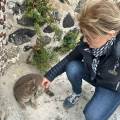 le-compagnon-de-nos-compagnons--1003808-2