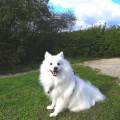 https://fr.holidog.com/ImagesPetSitters/F1040B3F-F6CC-4ACC-8D50-680C9B8D1EDC_square_120.jpg Chats-et-chiens-562282-0
