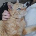 Amie-des-animaux-depuis-petite-🐾--1076548-3