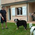 https://fr.holidog.com/ImagesPetSitters/F22196E2-3789-4BC0-AE2F-E9F5CD727729_square_120.jpg Au-bonheur-des-toutous-1104813-3