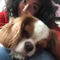 https://fr.holidog.com/ImagesPetSitters/F3A49262-7B7F-413E-8D16-1F509BC3F250_square_120.jpg Mariya-100549-0