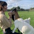 Voyageuse-amoureuse-des-animaux-1158589-2