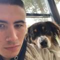 Amis-des-chiens-1114684-0