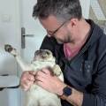 https://fr.holidog.com/ImagesPetSitters/F99C94DA-732E-49BF-A0C0-2CD61EECD851_square_120.jpg Dog's-paradise-1032213-0
