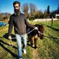 🐾-Le-paradis-des-chiens-🐕-1149761-0
