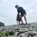 Garde-canine-sportive-&-cool-1077175-0