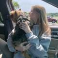 https://fr.holidog.com/ImagesPetSitters/FD14DE9B-0A58-4BF6-8D1A-C9F6A314D8E8_square_120.jpg J’aime-votre-animal,-comme-le-mien!-1174717-1