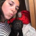 https://fr.holidog.com/ImagesPetSitters/FE889915-CB89-45AD-9A97-AD839BADF410_square_120.jpg L'amie-de-vos-animaux-497843-2