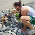 Pet-sitter-passionné--1066461-1