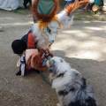 petsitter stranger