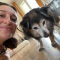 petsitter stranger