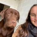 petsitter stranger