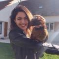 petsitter stranger